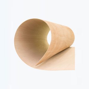 Bendy Plywood Suppliers Dubai, Abu Dhabi, Rak, Ajman, Fujairah