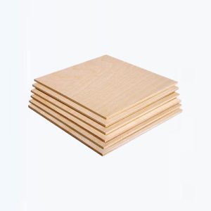 Birch Plywood Suppliers in Dubai, Abu Dhabi, Rak, Ajman, Fujairah